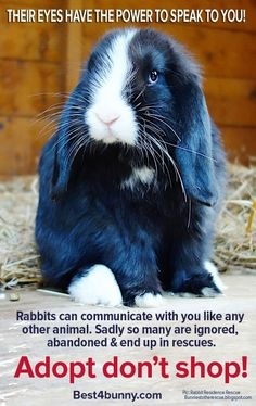 18415ec8435c3658a718389655f74921