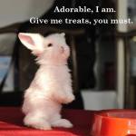 10259800_728180693893316_6540449362322984001_n