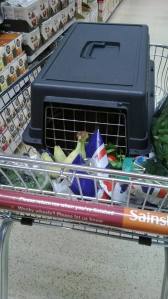 1184789_370679829731524_499744504_n