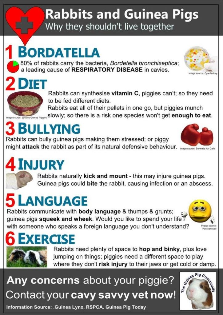 35021ad43d0dd60c9b4b7eb91d32ec1c