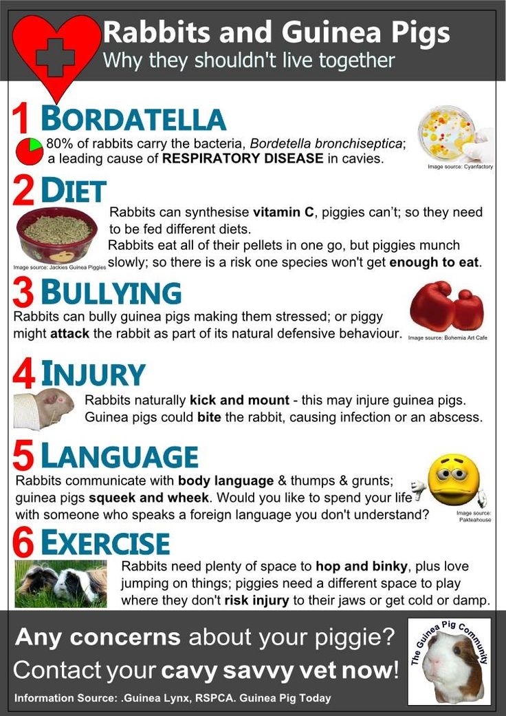 35021ad43d0dd60c9b4b7eb91d32ec1c