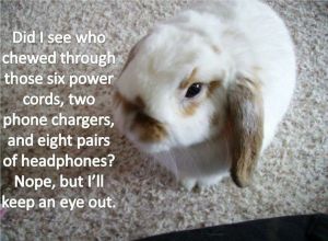 61c78c7f29d40b0f42e3b2b0105f6dec