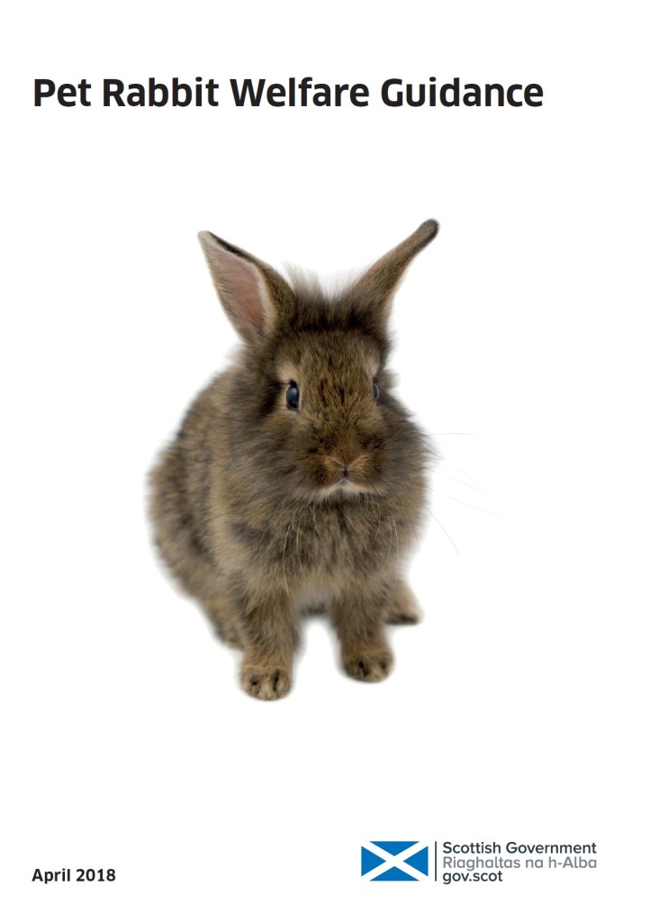 rabbit welfare petition scottish parliament - guidance cover